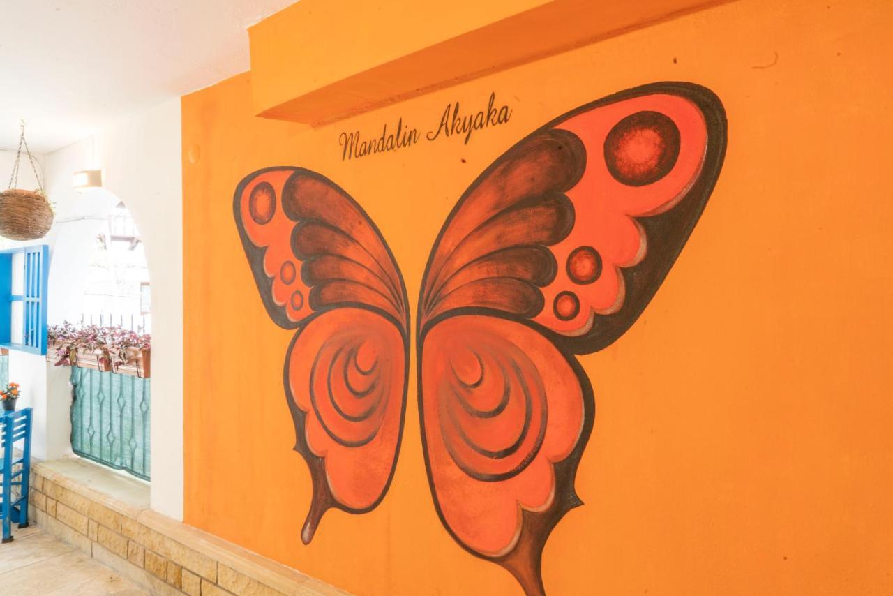 Mandalin Akyaka Hotel Akyaka  Eksteriør billede
